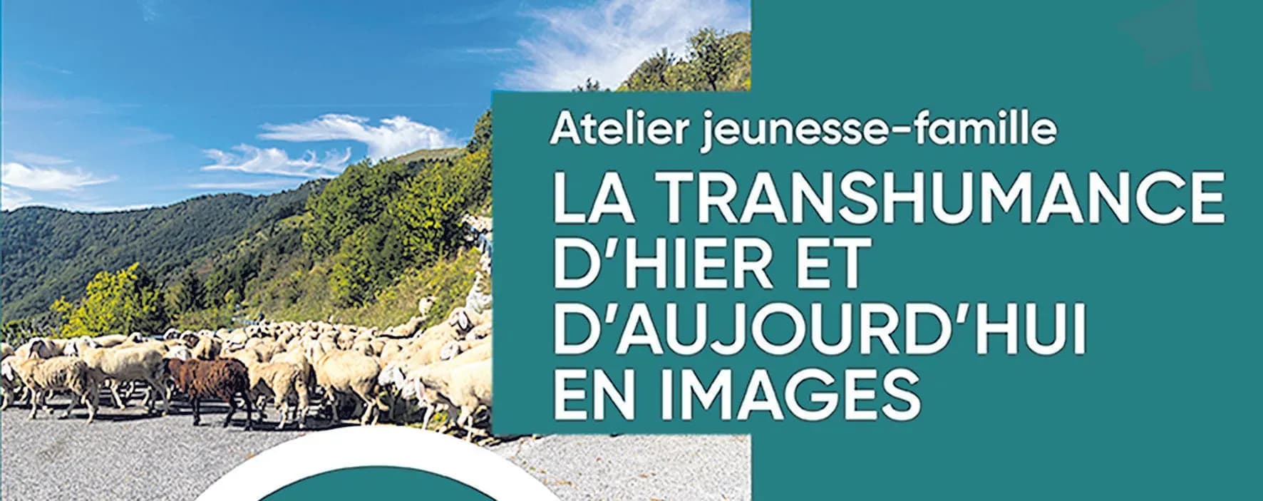 Un fl orilège d’activités gratuites pour les enfants ! Du sport au gymnase LE PROGRAMME