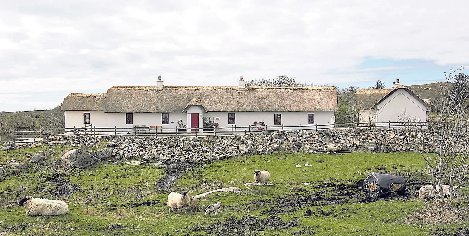 L’Irlande sous toutes ses facettes !