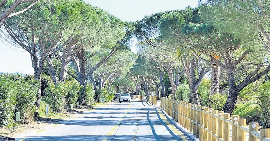 Avenue Ritondale, aménagement réussi d’une voie verte