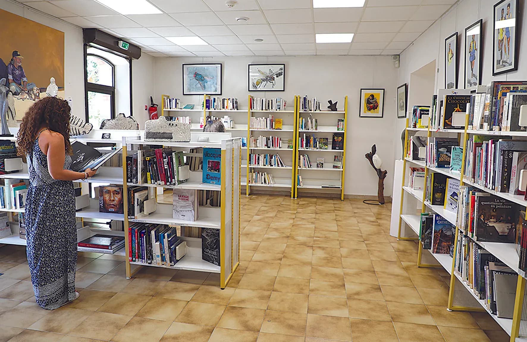 La bibliothèque réunit l’art visuel et la littérature