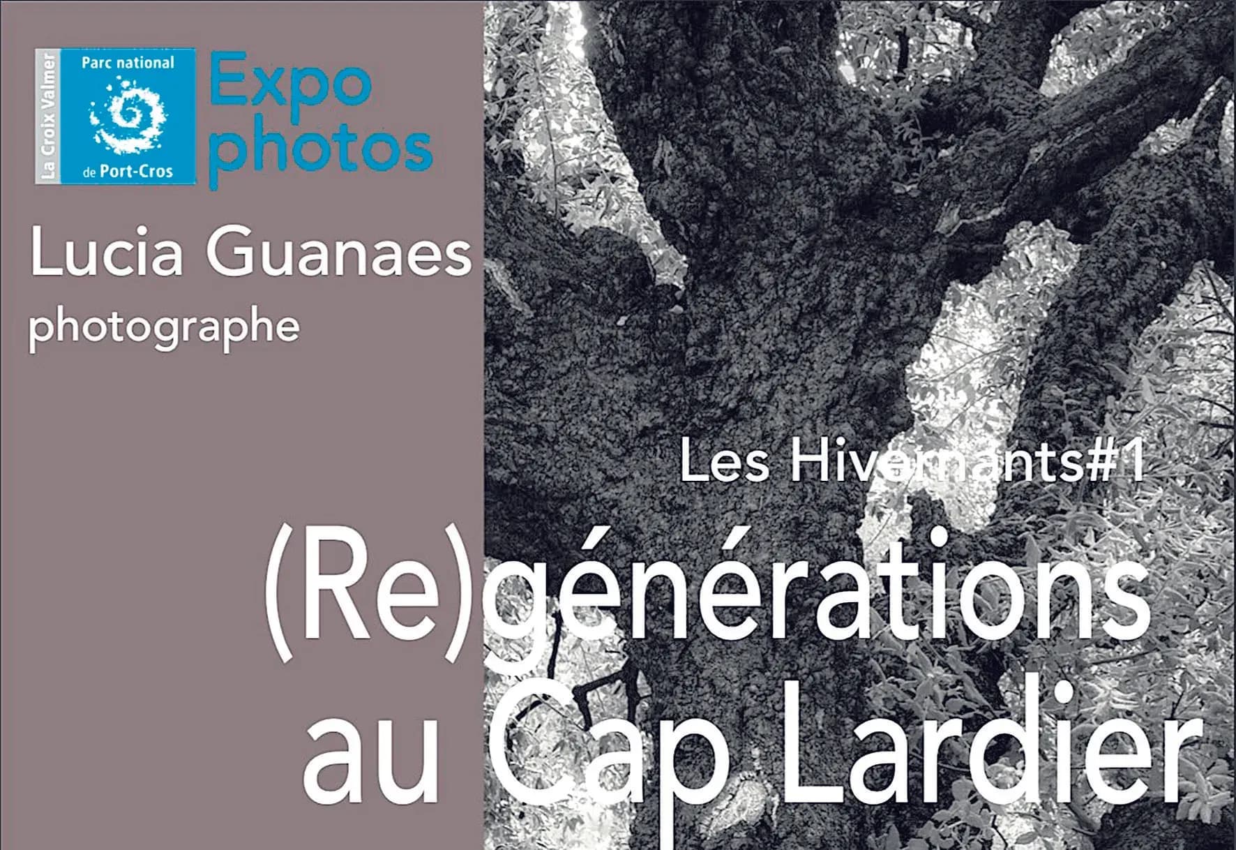 « (Re)générations », travail de mémoire avant et après les incendies
