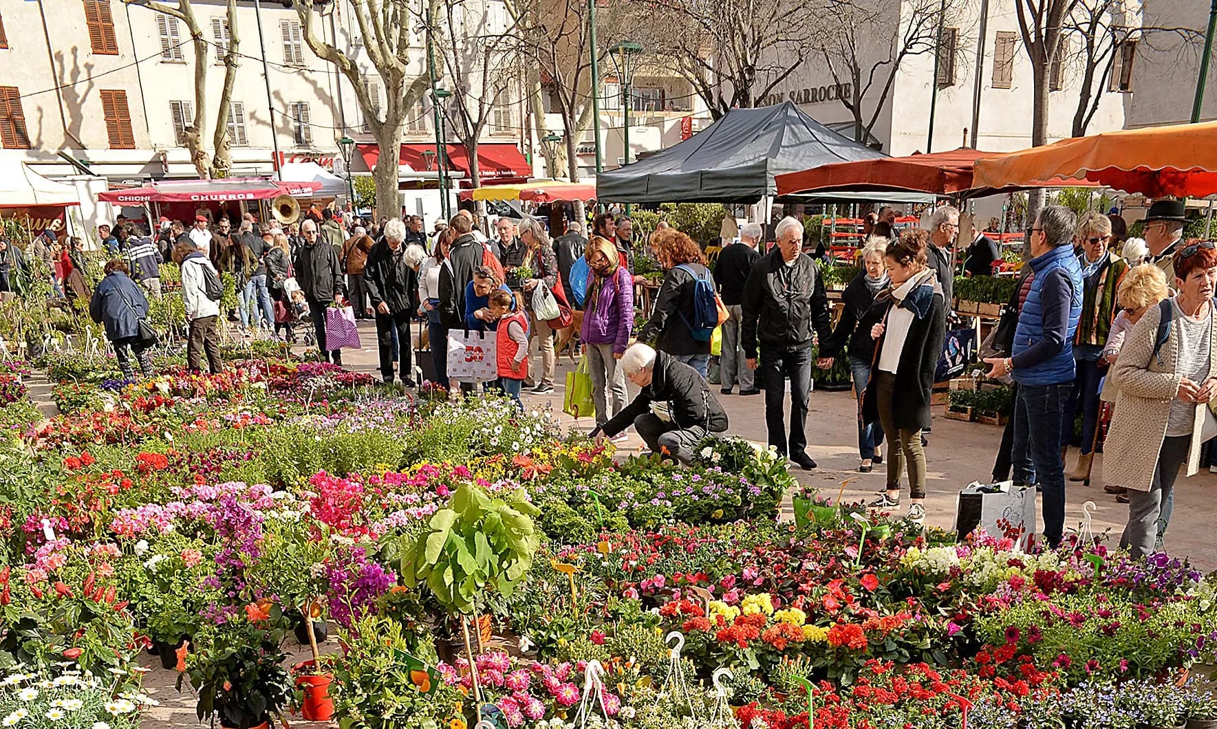 Le printemps vous donne rendez-vous à la Foire aux plants