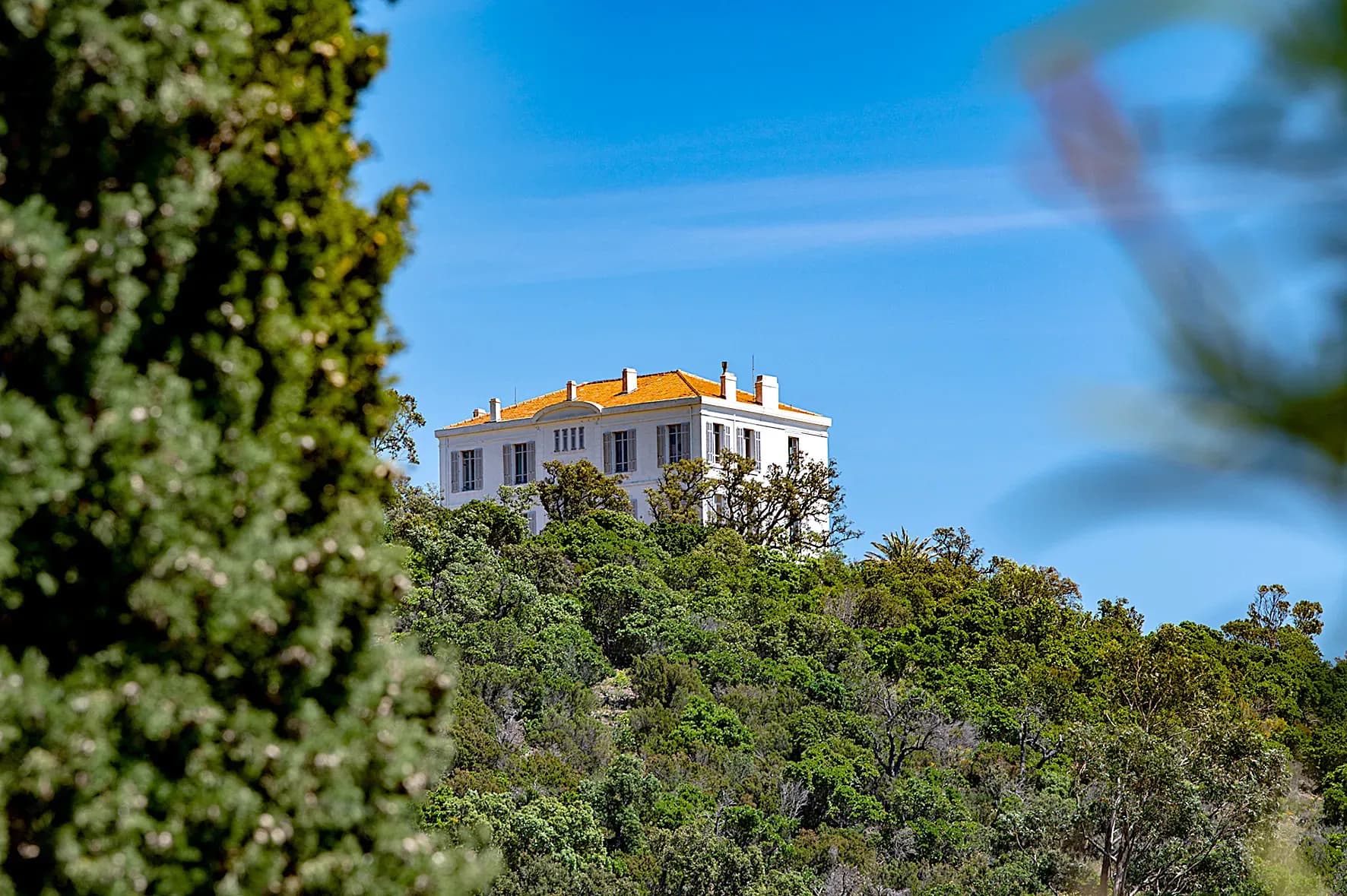 Cet été, découvrez les richesses de la Maison Foncin !