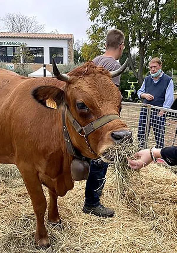Succès pour la journée à la ferme !