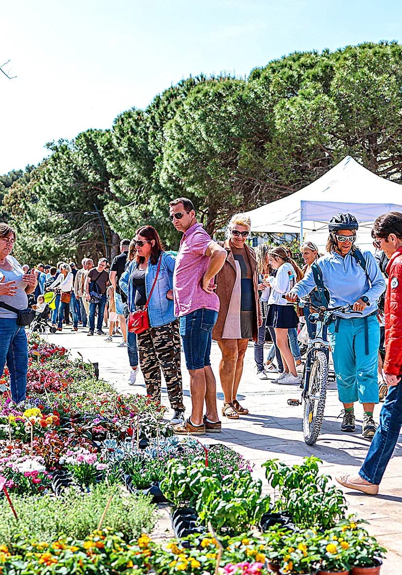 Impressionnant succès pour la Fête des Vins et des Plantes