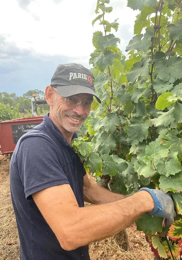 Un excellent millésime en perspective au Domaine de Favanquet