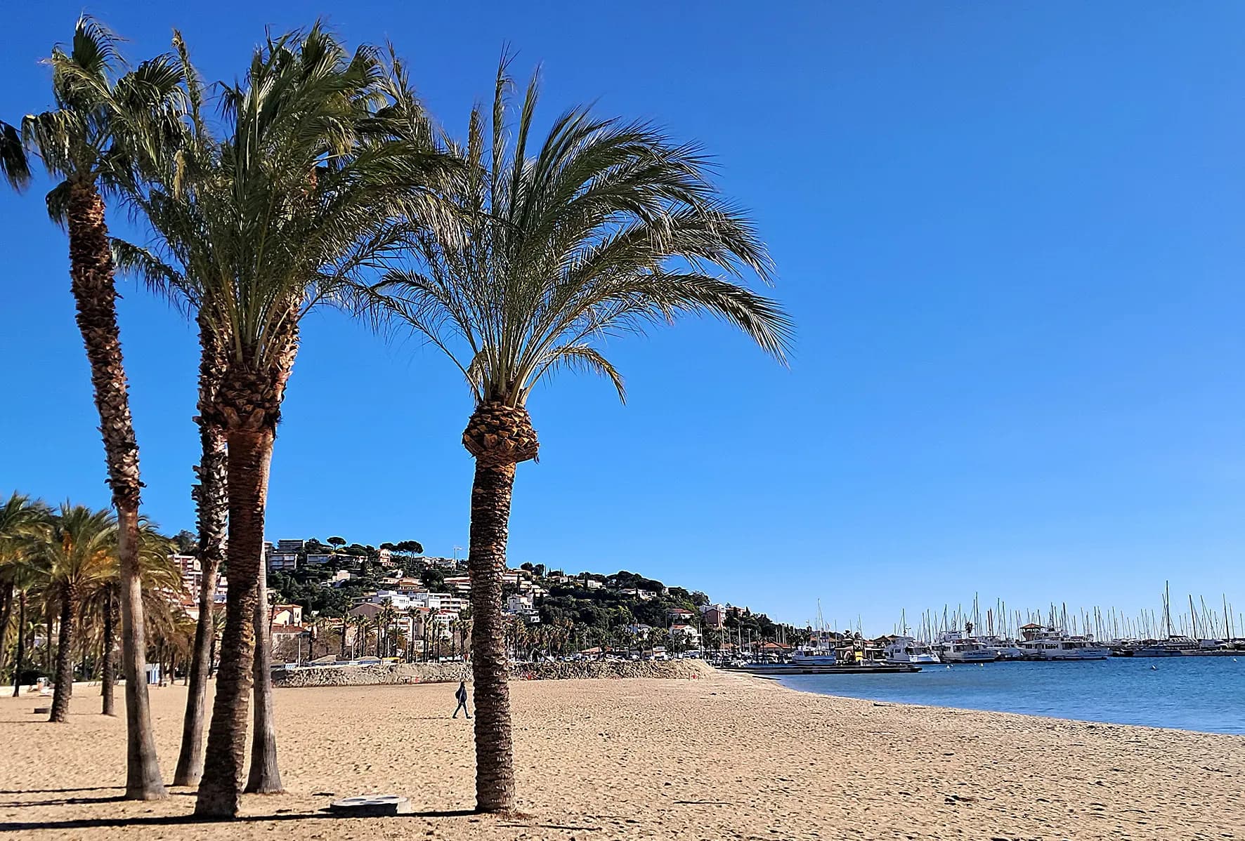 Face à l'érosion des plages, le plan de bataille des communes du littoral