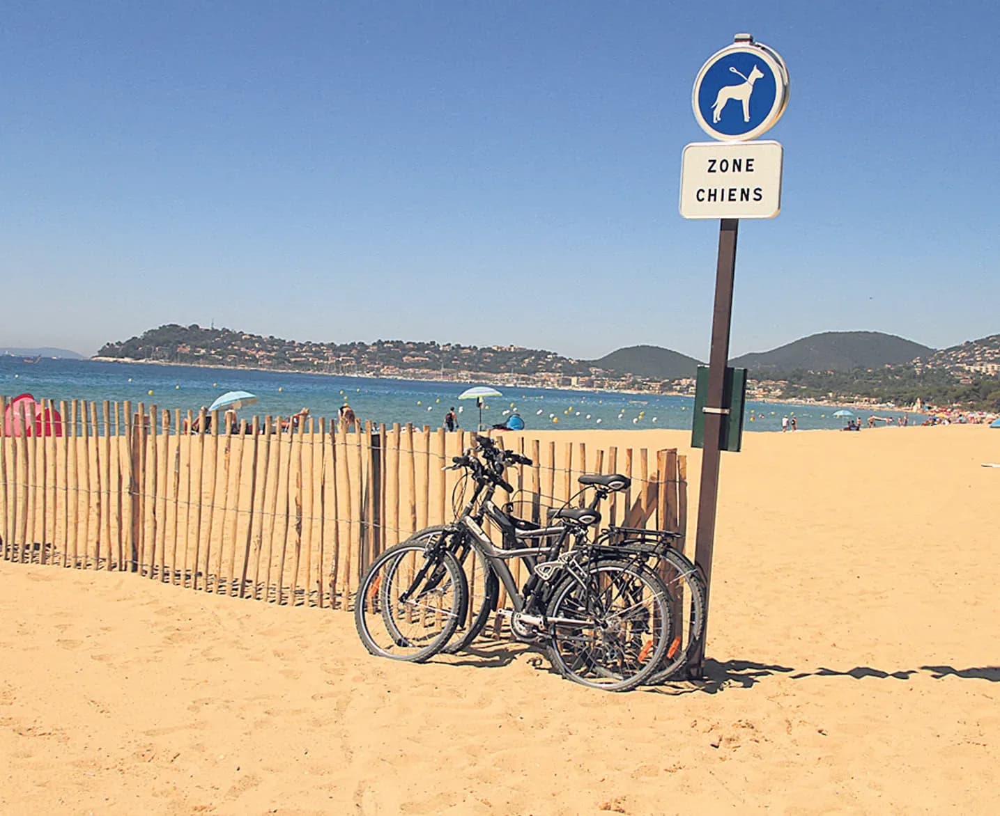 Suppression de la zone canine à la plage du Débarquement