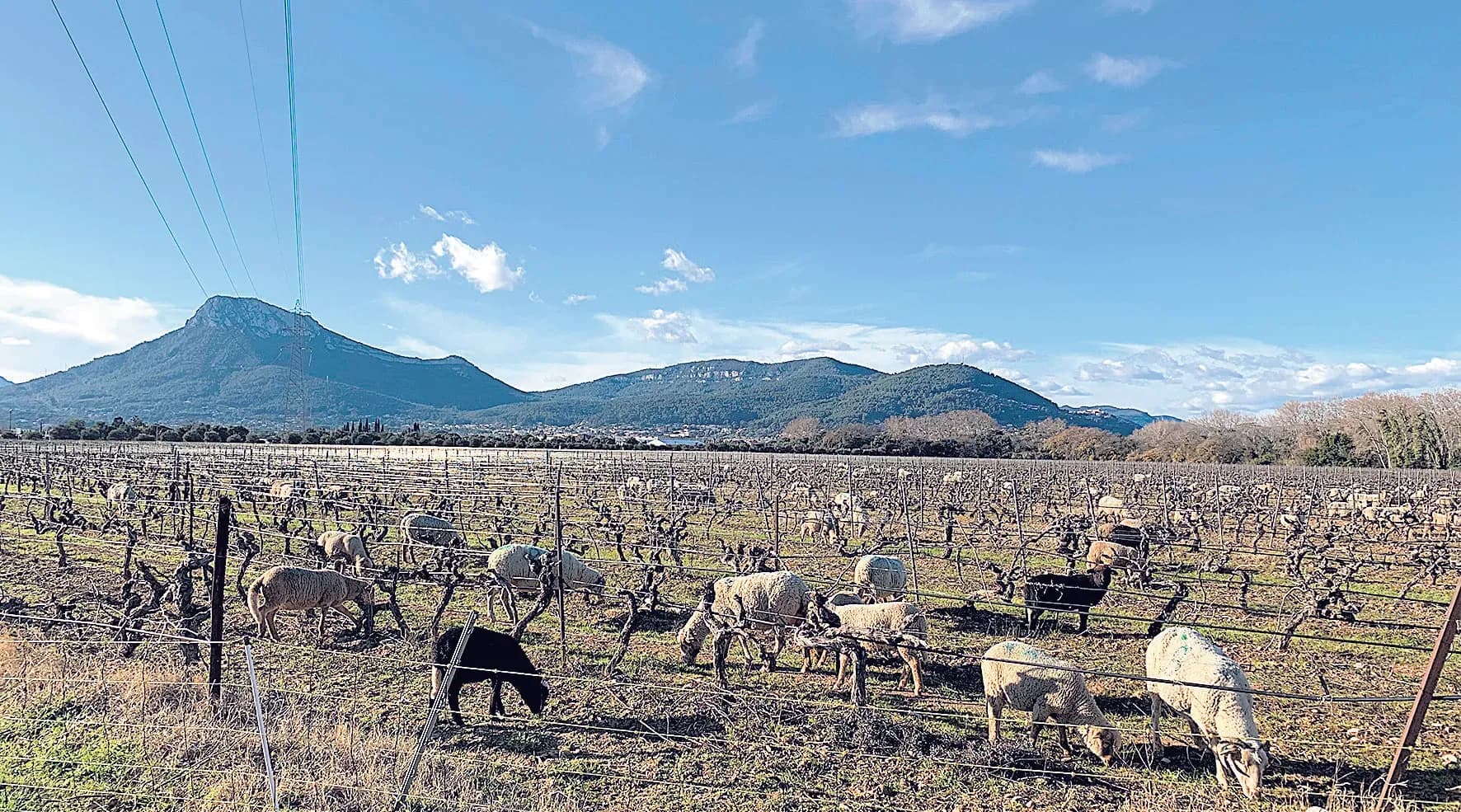 Avec la Région Sud, cultivons l’excellence !