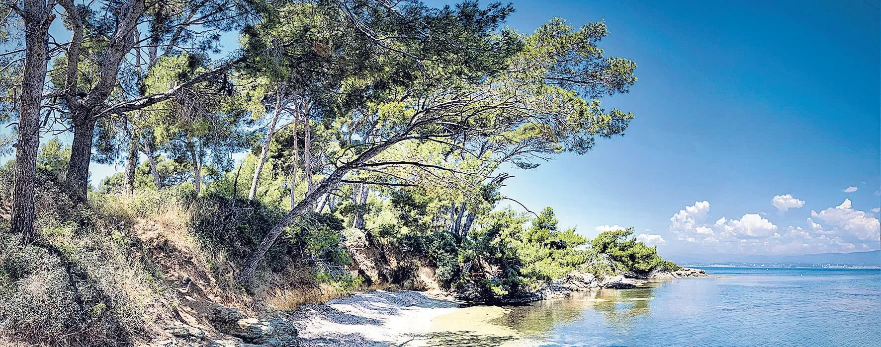 Plus de 300 jobs dans un cadre paradisiaque !