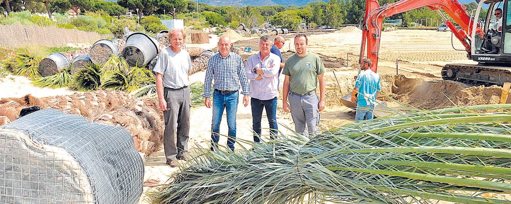 De magnifiques palmiers pour la Favière