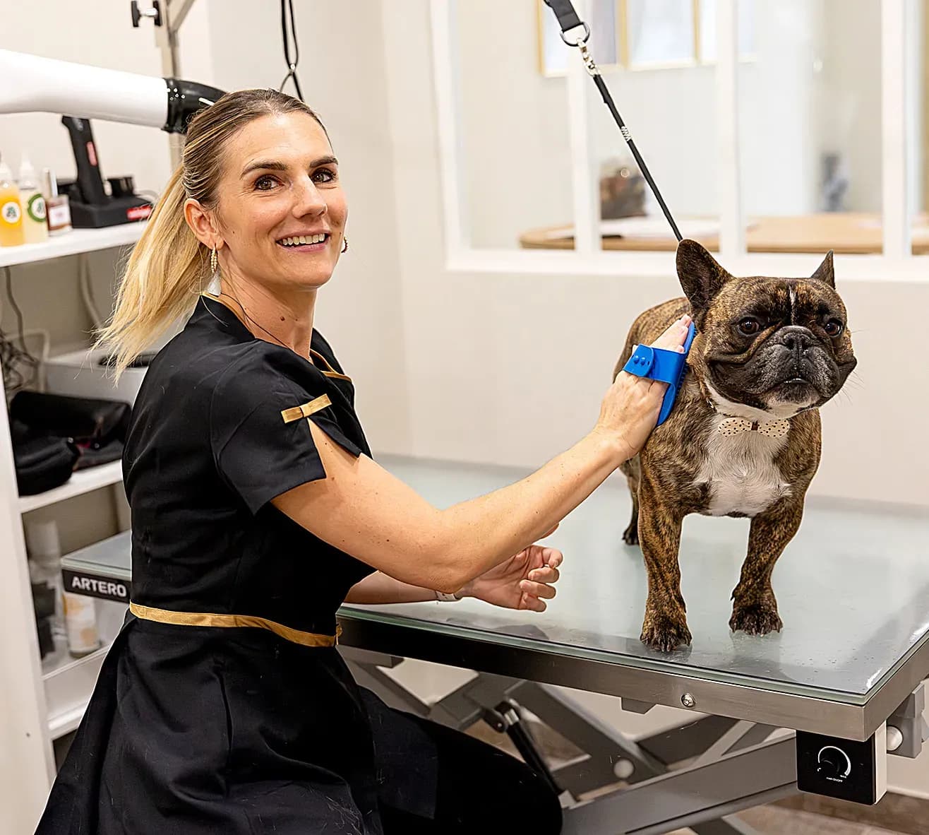 « Prestige Toilettage », un écrin de bien-être pour les animaux