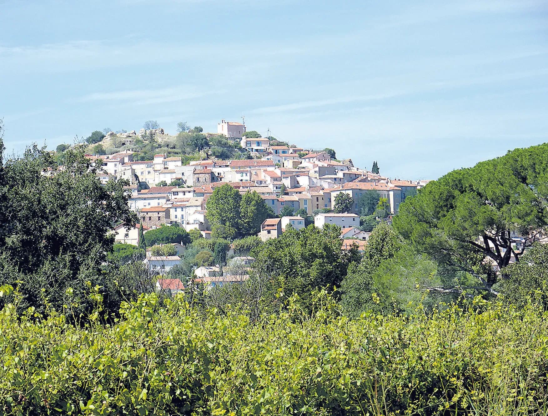 Pierrefeu, un terroir unique, un vignoble prestigieux