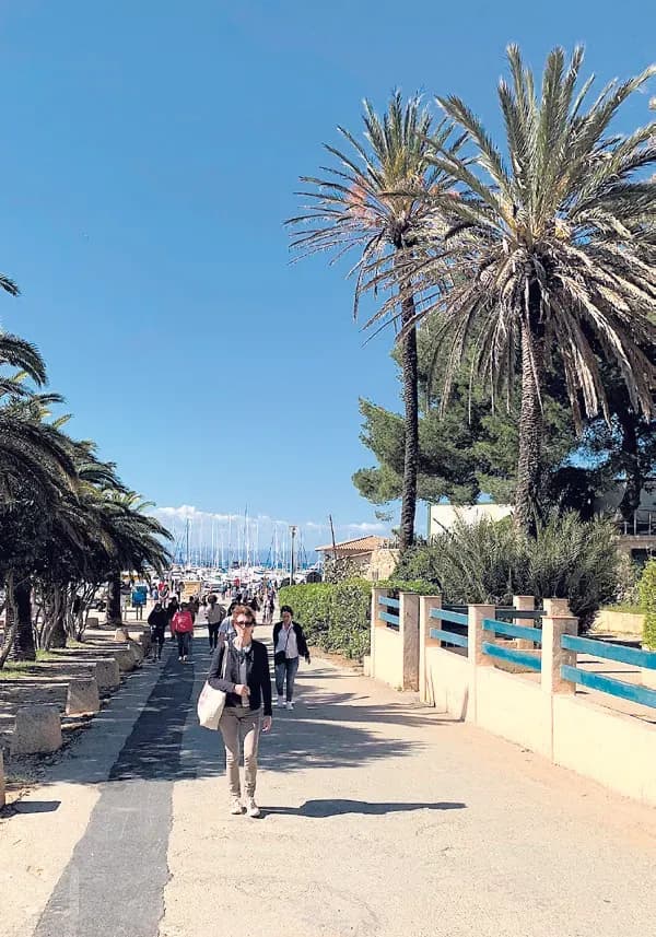 Découvrez l’île de Porquerolles, joyau de la Côte d’Azur !