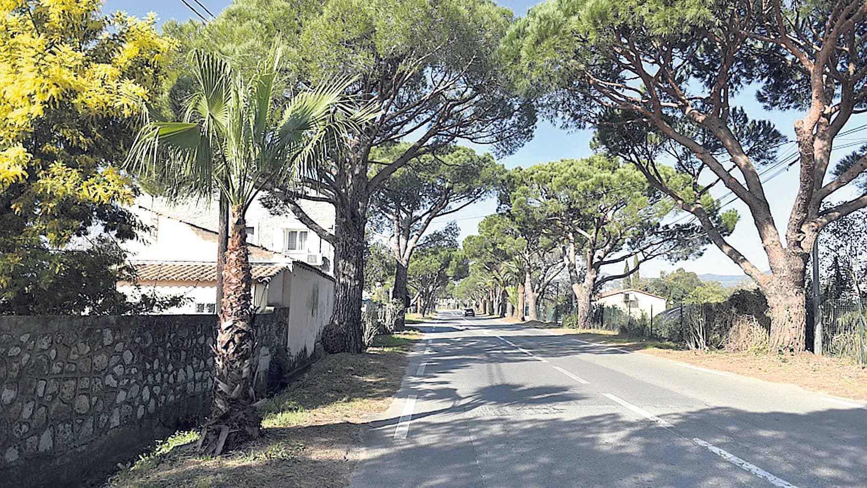 Importants travaux de requalification de l’avenue Decugis