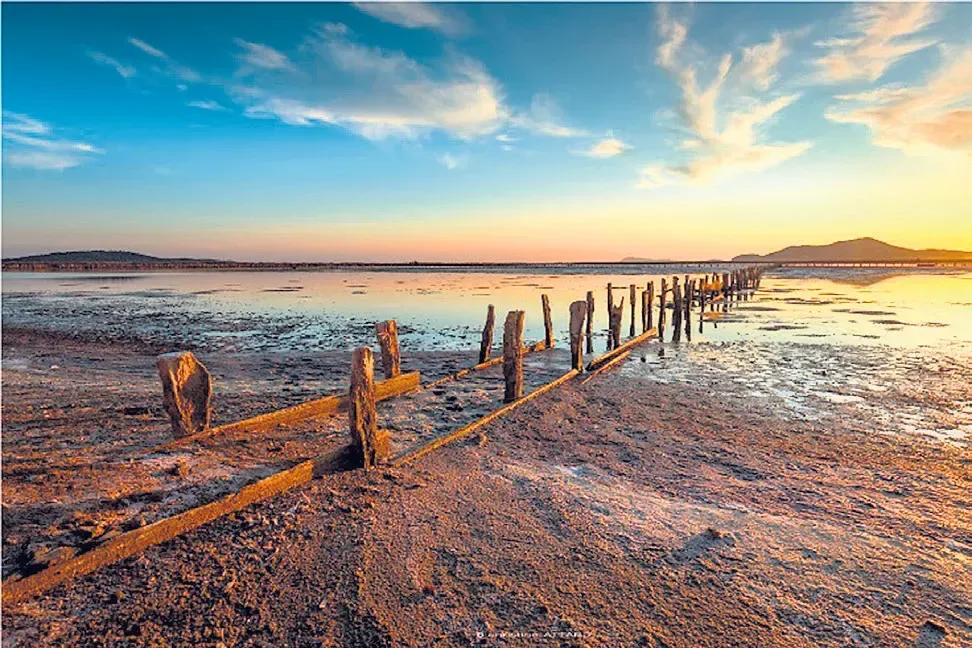 Les arts dans les Salins 2020