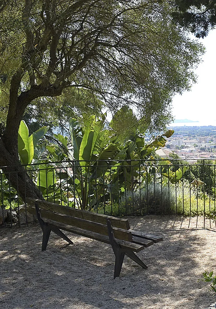 Au parc du Castel Sainte-Claire, un jardin botanique exceptionnel !