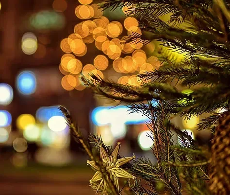 À Noël, une programmation féerique !