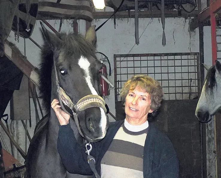 Rencontre avec une éleveuse de chevaux et de poneys de sport