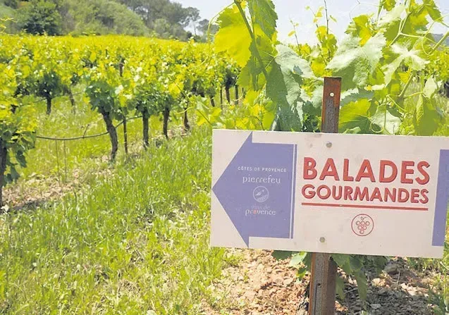 Le village a fêté les 10 ans des balades gourmandes