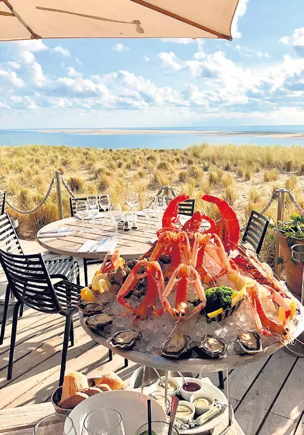 En été, place aux repas dans le jardin !