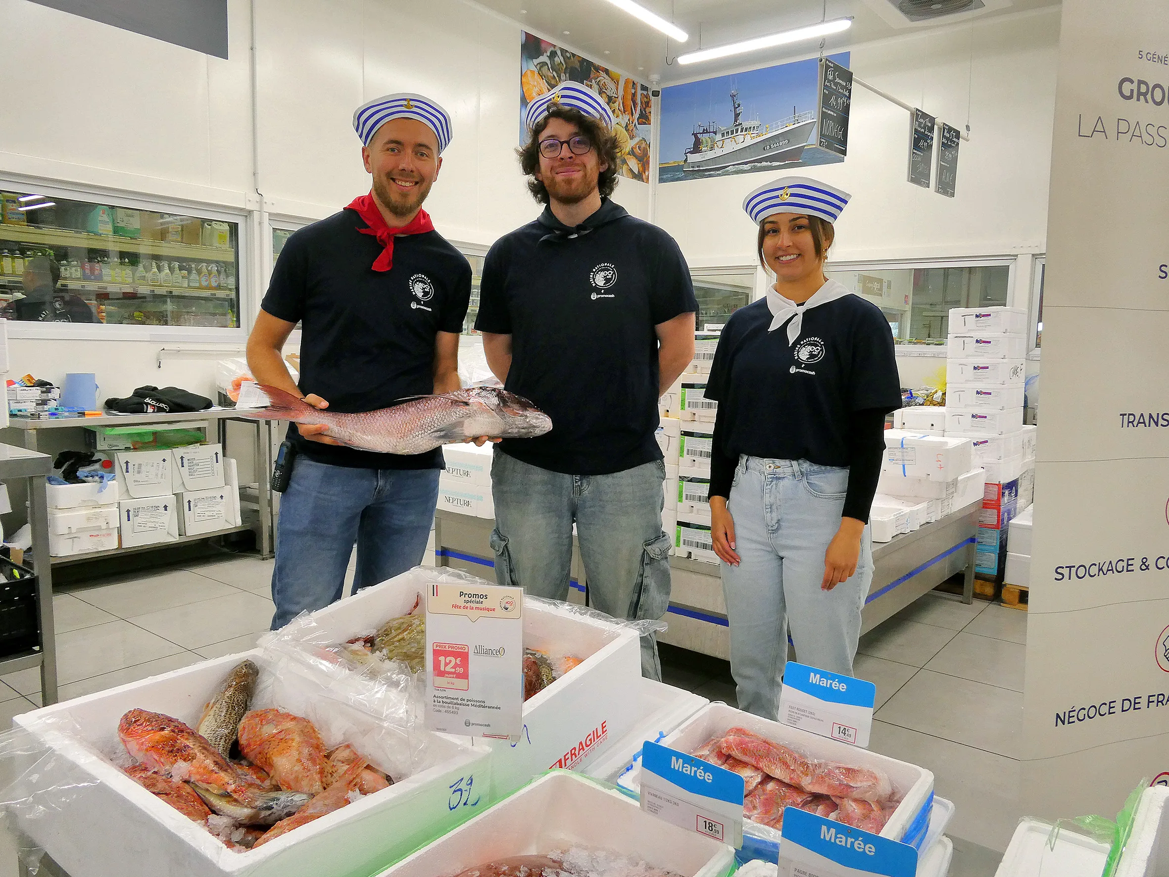 Image 3